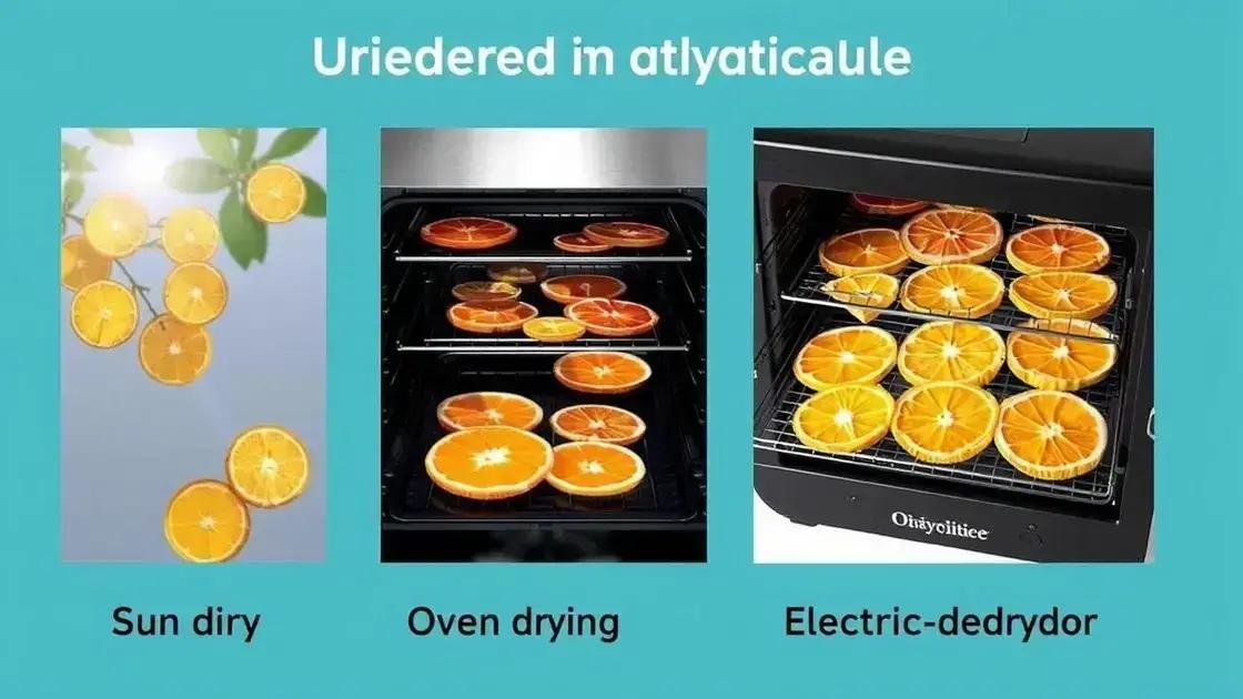 Métodos populares para desidratar laranja